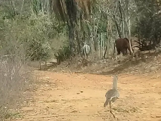 Imagem 8: Terreno de 3024 m2 no Encontro das Águas em Esmeraldas