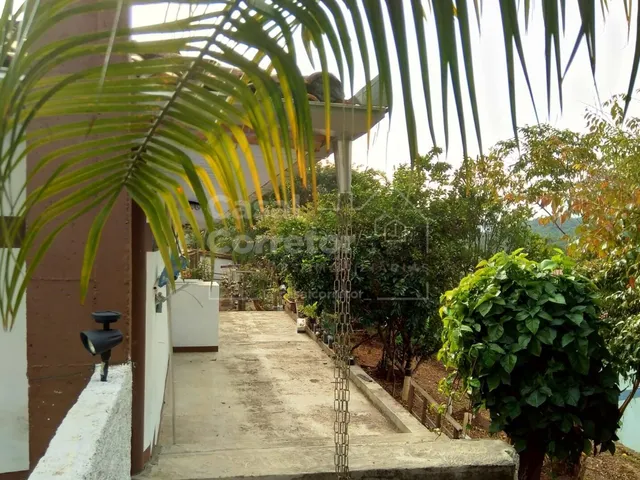 Imagem 10: ESPAÇOSA CASA COM PISCINA E POMAR EM BAIRRO COMPLETO