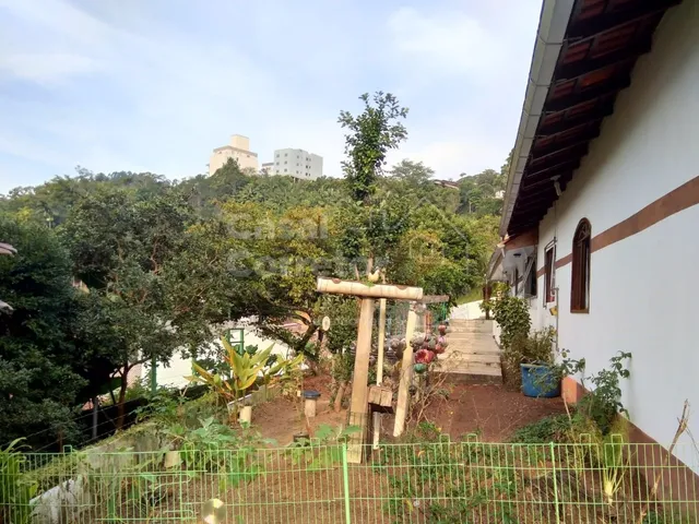 Imagem 15: ESPAÇOSA CASA COM PISCINA E POMAR EM BAIRRO COMPLETO