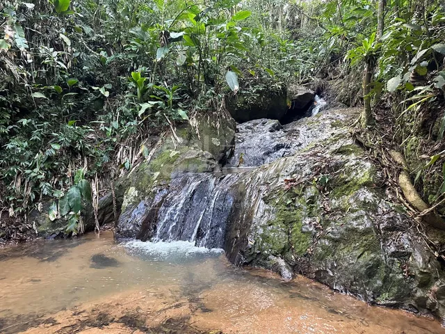Imagem 2: ENCANTADOR SITÍO DE 140.000m² NA SERRA