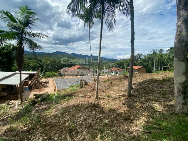 Imagem 8: TERRENO EM ÓTIMA LOCALIZAÇÃO