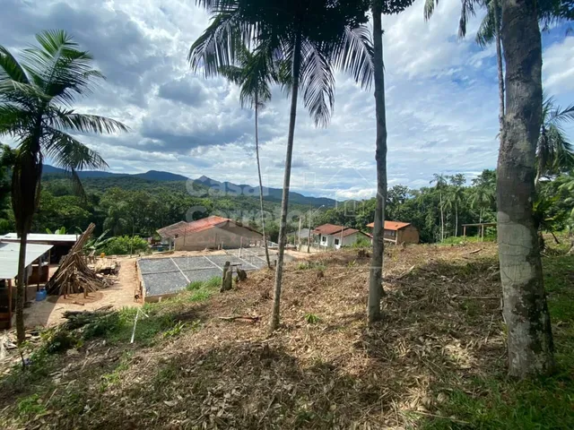 Imagem 2: TERRENO EM ÓTIMA LOCALIZAÇÃO