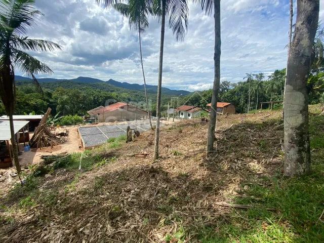 Imagem 9: TERRENO EM ÓTIMA LOCALIZAÇÃO