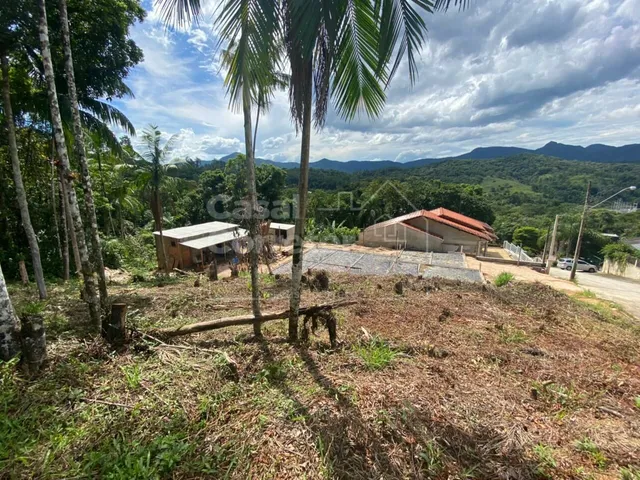 Imagem 7: TERRENO EM ÓTIMA LOCALIZAÇÃO