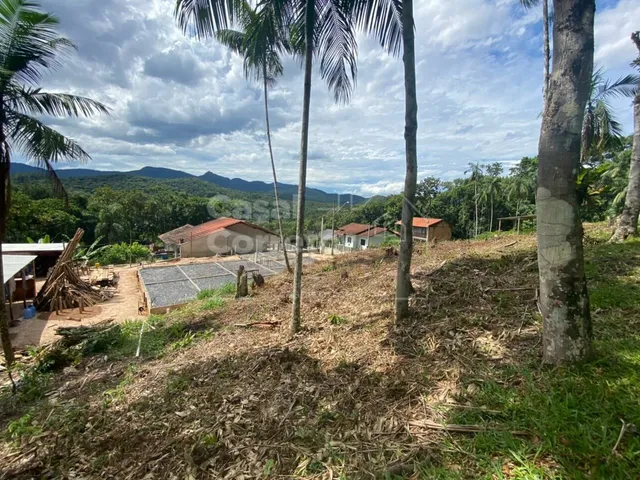 Imagem 4: TERRENO EM ÓTIMA LOCALIZAÇÃO