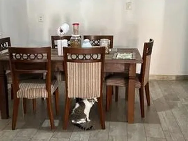 Imagem 1: Casa Aluguel R$ 5.500,00 - santa Mônica - Florianópolis
