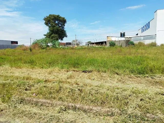 Imagem: Lote Residencial Humaitá