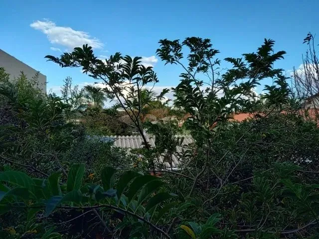 Imagem 8: Casa Térrea em Terreno de 434M2