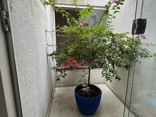 Imagem 3: Condomínio Arbre, Casa com 130M²