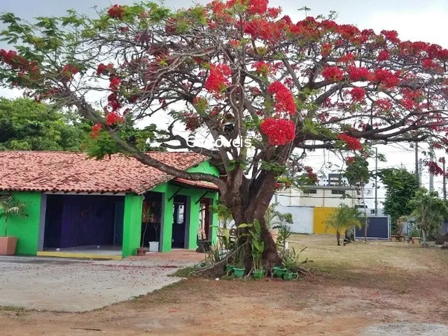 Imagem: TERRENO COMERCIAL em LAURO DE FREITAS