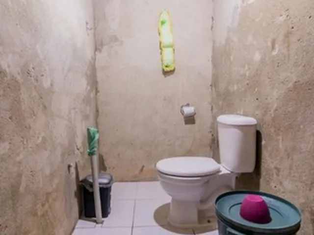Imagem 2: Casa, 2/4, na Av Independência