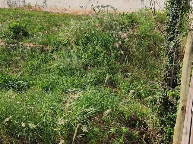 Imagem 2: Terreno à venda, Centro, TOLEDO - PR