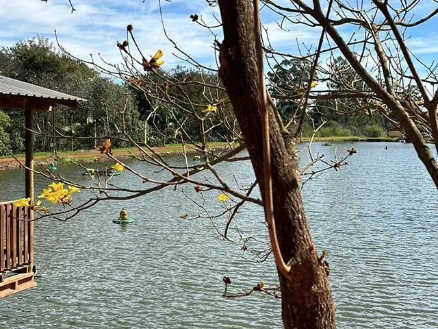 Imagem 2: Chácara à venda, 6 KM DA CIDADE, CAFELANDIA - PR