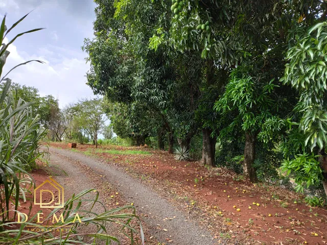 Imagem: Chácara À Venda, Estrada Dom Armando Pr
