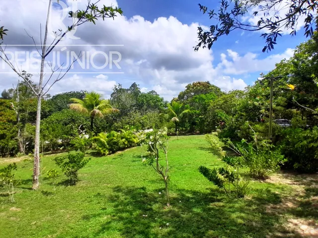 Imagem 15: Sítio com 5.700 m² , a 4 km da Linha Verde
