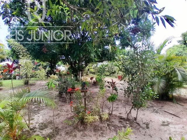 Imagem 9: Sítio com 5.700 m² , a 4 km da Linha Verde