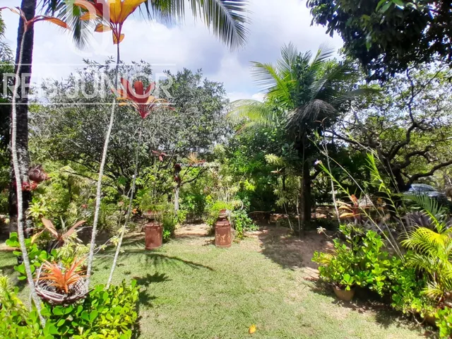 Imagem 6: Sítio com 5.700 m² , a 4 km da Linha Verde