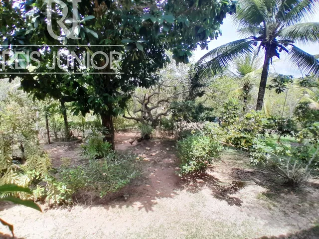 Imagem 3: Sítio com 5.700 m² , a 4 km da Linha Verde