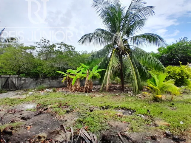 Imagem 16: Sítio com 3.380 m² e acesso ao Rio Jacuipe