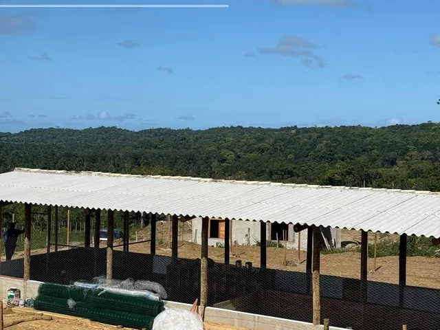 Imagem 4: Fazenda à venda em Ilhéus-BA com 242 hectares!