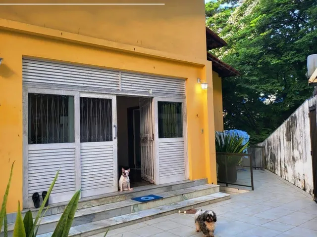 Imagem 9: Localização excelente, com 6 quartos