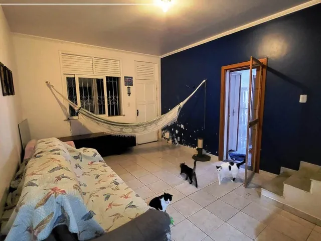 Imagem 14: Localização excelente, com 6 quartos