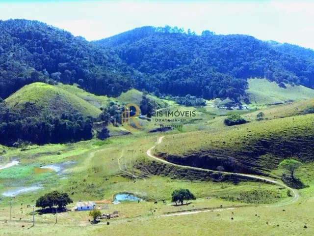 Imagem: Fazenda com 80 Alqueires À Venda em Redenção