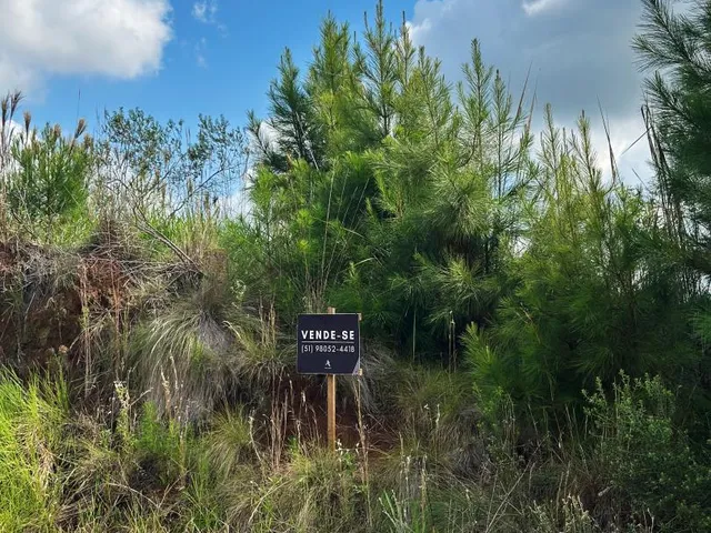 Imagem 3: Terreno Amplo e Bem Localizado no Caminho do Ferrabraz – Oportunidade em Sapiranga!