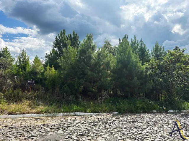 Imagem 4: Terreno Amplo e Bem Localizado no Caminho do Ferrabraz – Oportunidade em Sapiranga!