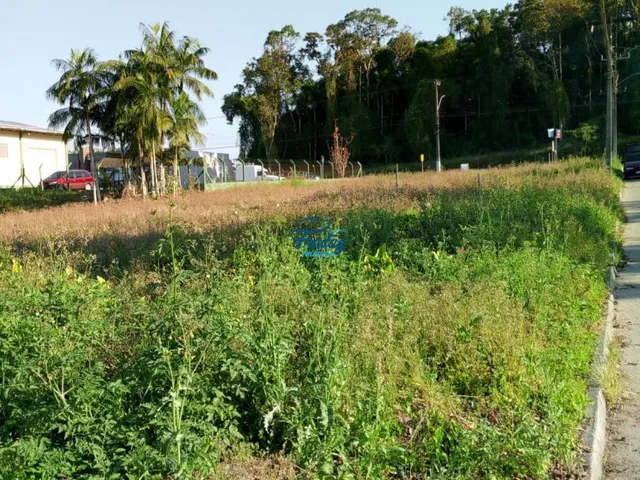 Imagem 5: Terreno em Schroeder no Bairro Centro Norte