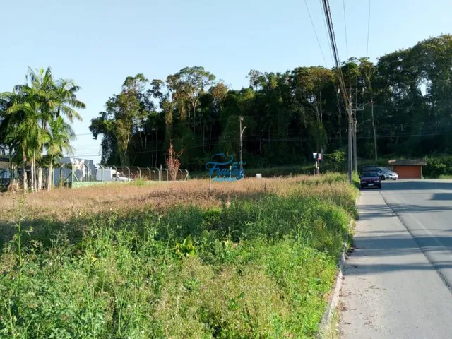 Imagem 2: Terreno em Schroeder no Bairro Centro Norte