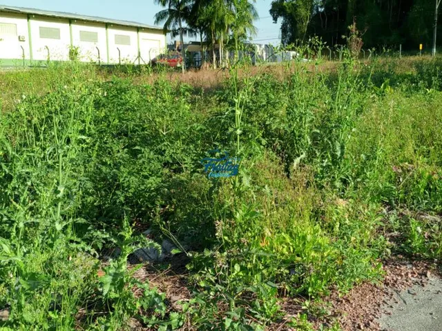 Imagem 3: Terreno em Schroeder no Bairro Centro Norte