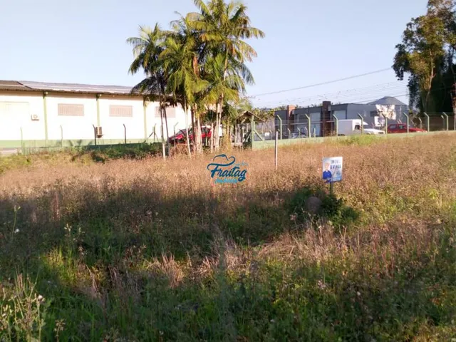 Imagem 6: Terreno em Schroeder no Bairro Centro Norte