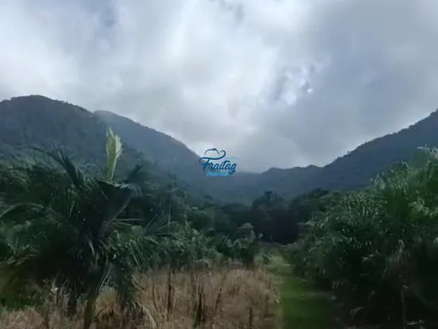 Imagem 6: Terreno Rural com 41.000m² em Schroeder - Duas Mamas