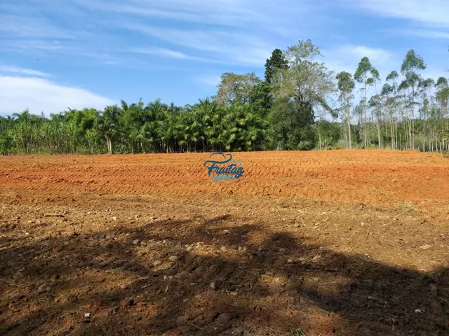 Imagem 6: Terreno em Schroeder - Bairro Schroeder III