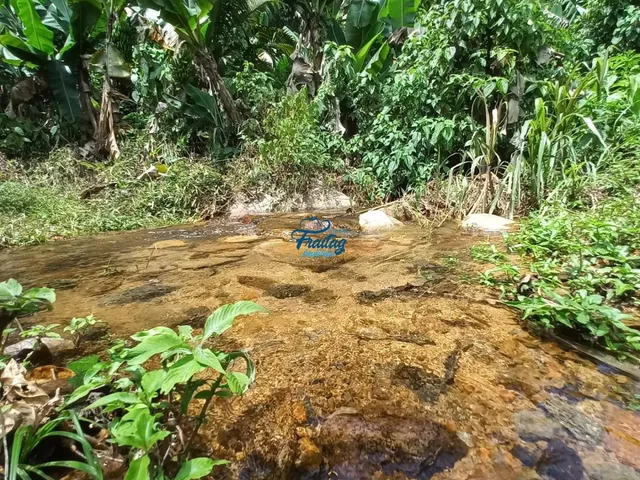 Imagem: Chacará a Venda no Bairro Grota Funda em