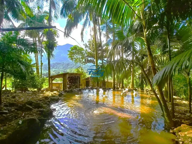 Imagem 4: Chácara com 3 quartos - Schroeder - Braço do Sul