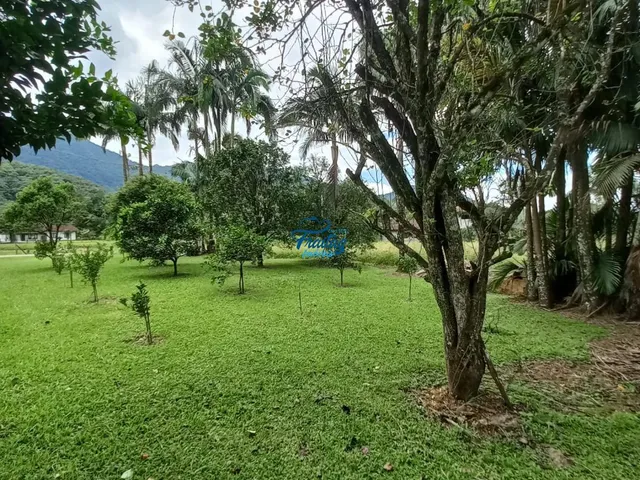Imagem 9: Chácara com Casa 03 Quartos sendo 01Suíte em Schroeder no Bairro Bracinho