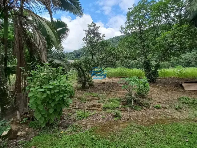 Imagem 12: Chácara com Casa 03 Quartos sendo 01Suíte em Schroeder no Bairro Bracinho