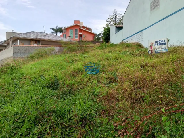 Imagem 3: Terreno em Schroeder no Bairro Centro