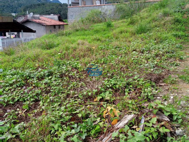 Imagem 9: Terreno em Schroeder no Bairro Centro