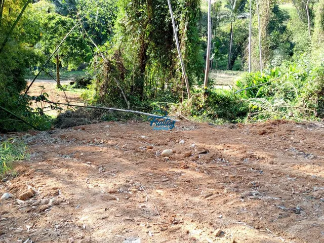 Imagem 12: Chácara em Schroeder no Bairro Duas Mamas