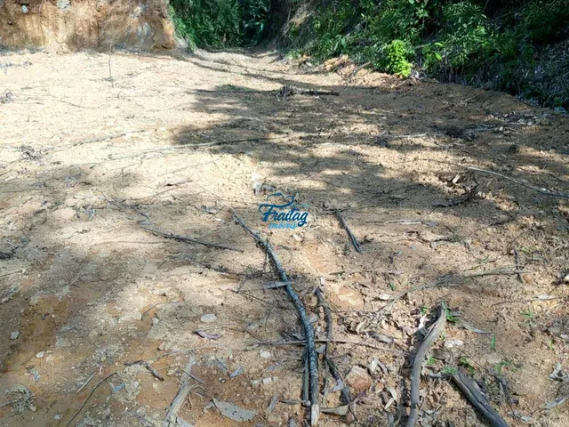 Imagem 14: Chácara em Schroeder no Bairro Duas Mamas