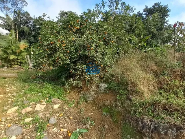 Imagem 14: Chácara em Schroeder no Bairro Rancho Bom
