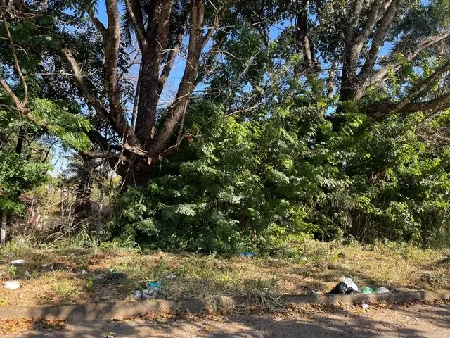 Imagem 1: Areia de 3.979,00 M2
