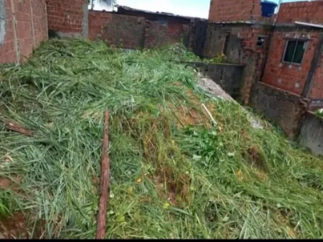 Imagem: Terreno Na.linha do Tiro