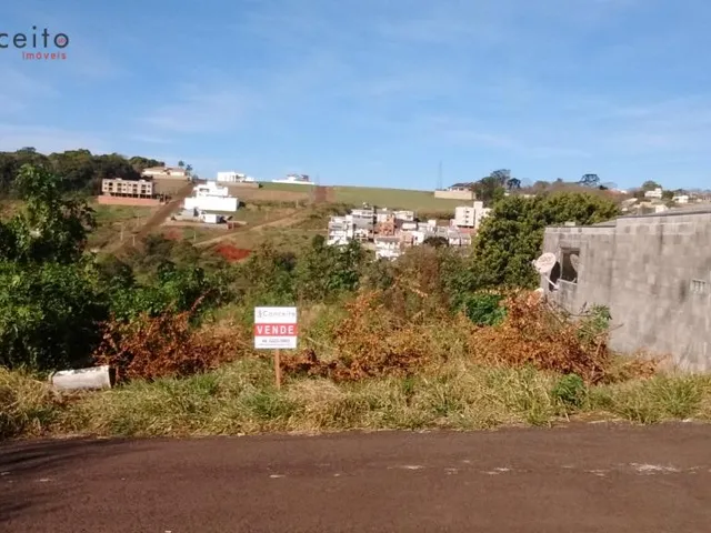 Imagem 3: VENDE TERRENO BAIRRO VILA IZABEL