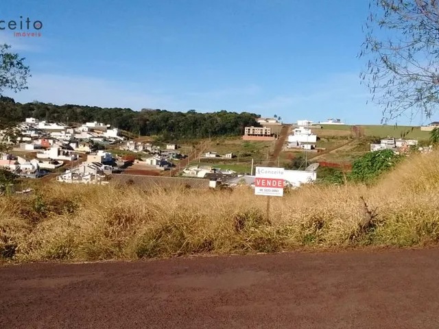 Imagem 3: VENDE TERRENOS BAIRRO VILA IZABEL