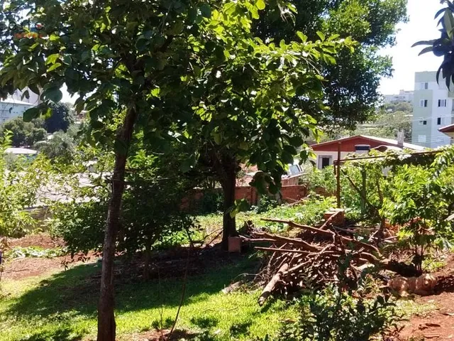 Imagem 8: Vende Terreno no Centro Centro de Pato Branco - Paraná