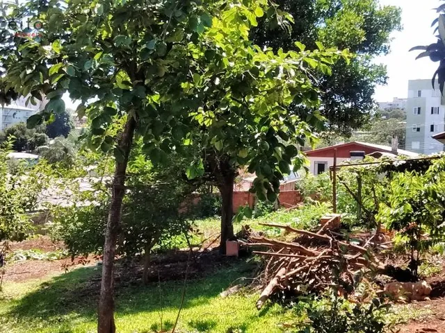 Imagem 9: Vende Terreno no Centro Centro de Pato Branco - Paraná